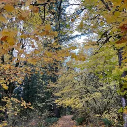 Redmond Watershed Preserve - Redmond