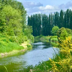 Sammamish River Trail - Redmond
