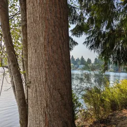 Angle Lake Golf Course - SeaTac