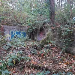 Des Moines Creek Trail - SeaTac