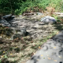 Des Moines Creek Trail - SeaTac