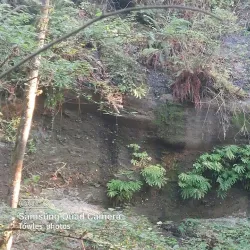 Des Moines Creek Trail - SeaTac