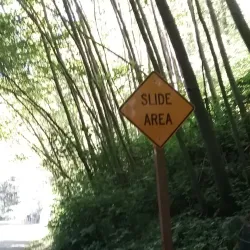 Des Moines Creek Trail - SeaTac