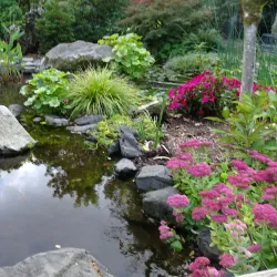 Highline SeaTac Botanical Garden - SeaTac