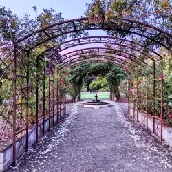 Highline SeaTac Botanical Garden - SeaTac