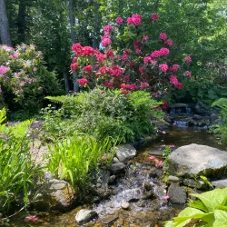 Highline SeaTac Botanical Garden - SeaTac