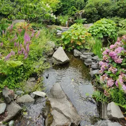 Highline SeaTac Botanical Garden - SeaTac