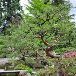 SeaTac Community Center - SeaTac