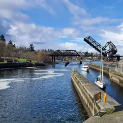 Ballard Locks (Hiram M. Chittenden Locks) - Seattle