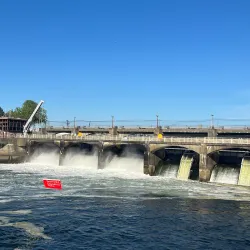 Ballard Locks (Hiram M. Chittenden Locks) - Seattle