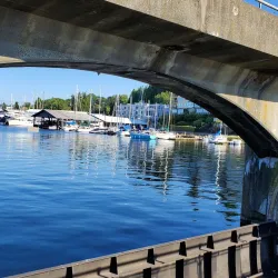 Ballard Locks (Hiram M. Chittenden Locks) - Seattle