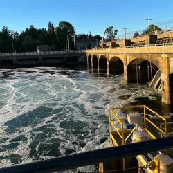 Ballard Locks (Hiram M. Chittenden Locks) - Seattle