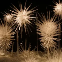 Chihuly Garden and Glass - Seattle