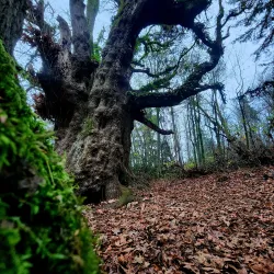Discovery Park - Seattle