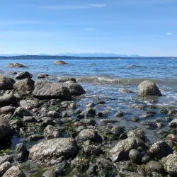 Discovery Park - Seattle