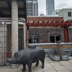 Pike Place Market - Seattle