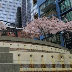 Pike Place Market - Seattle