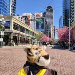 Pike Place Market - Seattle