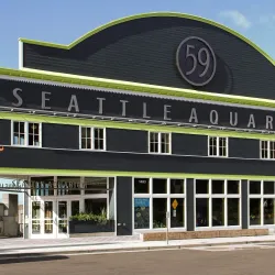 Seattle Aquarium - Seattle