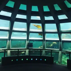 Seattle Aquarium - Seattle