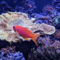 Seattle Aquarium - Seattle