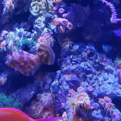 Seattle Aquarium - Seattle