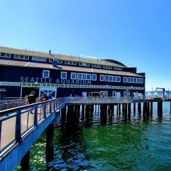 Seattle Aquarium - Seattle
