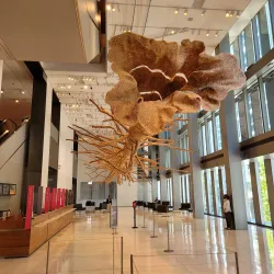 Seattle Art Museum (SAM) - Seattle