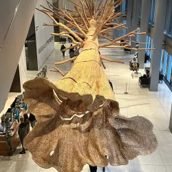 Seattle Art Museum (SAM) - Seattle