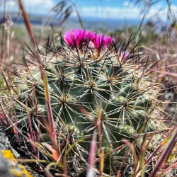 Selah Trail System - Selah
