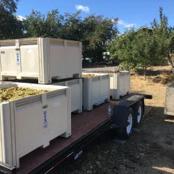 Selah Vineyards and Wineries - Selah