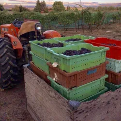 Selah Vineyards and Wineries - Selah