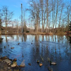 Carrie Blake Park - Sequim