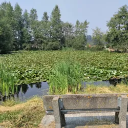 Carrie Blake Park - Sequim
