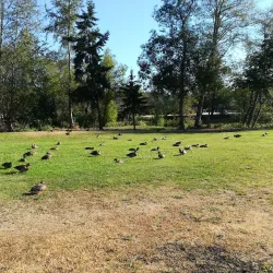Carrie Blake Park - Sequim
