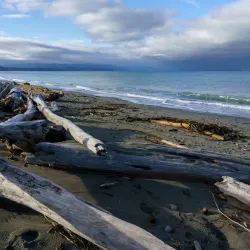 Dungeness National Wildlife Refuge - Sequim