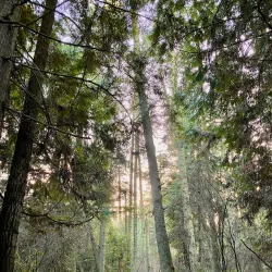 Dungeness National Wildlife Refuge - Sequim
