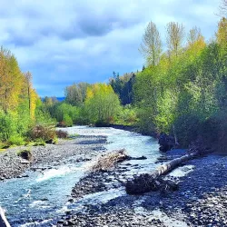 Dungeness River Audubon Center - Sequim