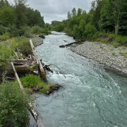 Dungeness River Audubon Center - Sequim