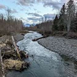 Dungeness River Audubon Center - Sequim