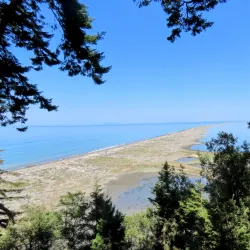 Dungeness Spit - Sequim