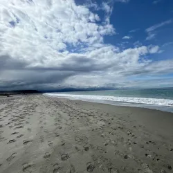 Dungeness Spit - Sequim