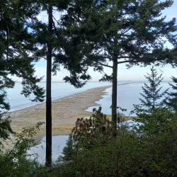 Dungeness Spit - Sequim