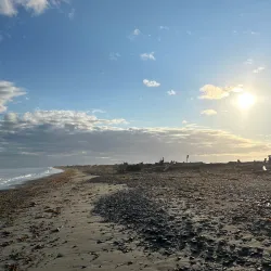 Dungeness Spit - Sequim