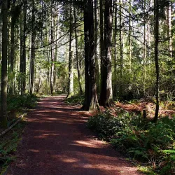 Dungeness Spit - Sequim
