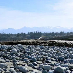 Dungeness Spit - Sequim