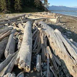 Dungeness Spit - Sequim