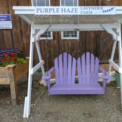 Purple Haze Lavender Farm - Sequim