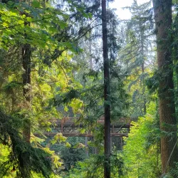 Sequim Bay State Park - Sequim