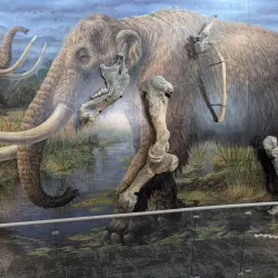 Sequim Museum & Arts - Sequim